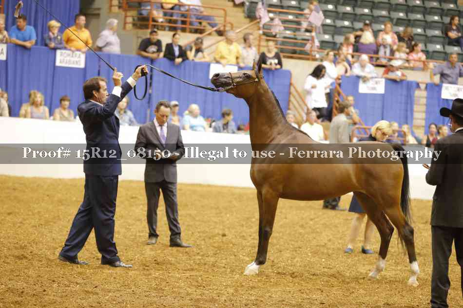 Proof Number 15R12_08150