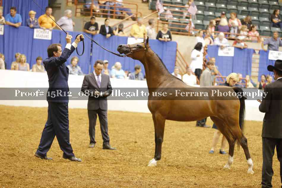 Proof Number 15R12_08151