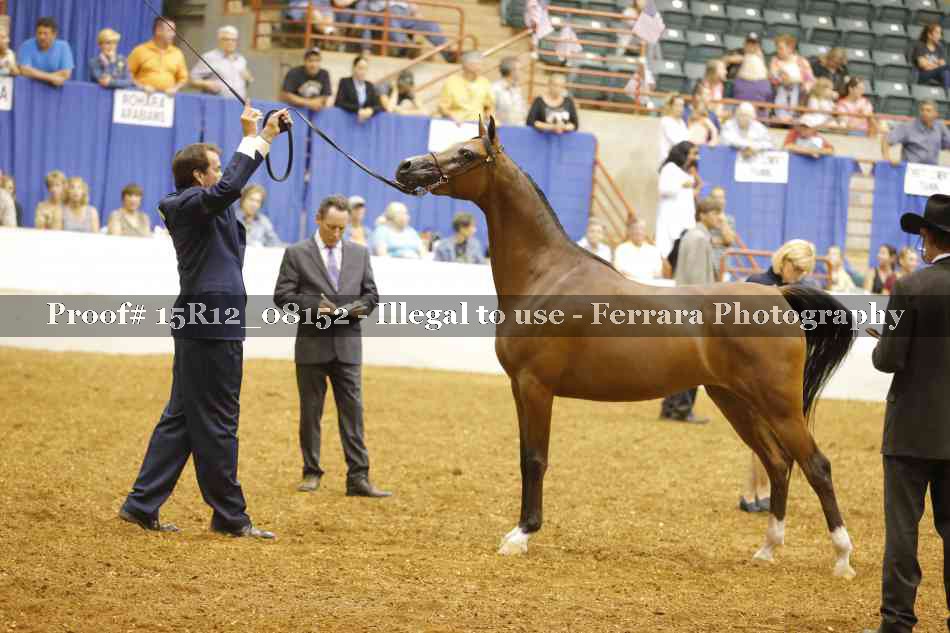 Proof Number 15R12_08152