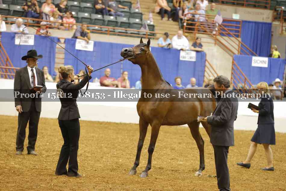Proof Number 15R12_08153
