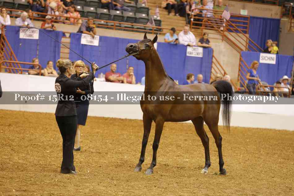 Proof Number 15R12_08154