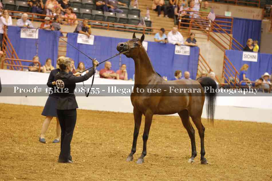 Proof Number 15R12_08155