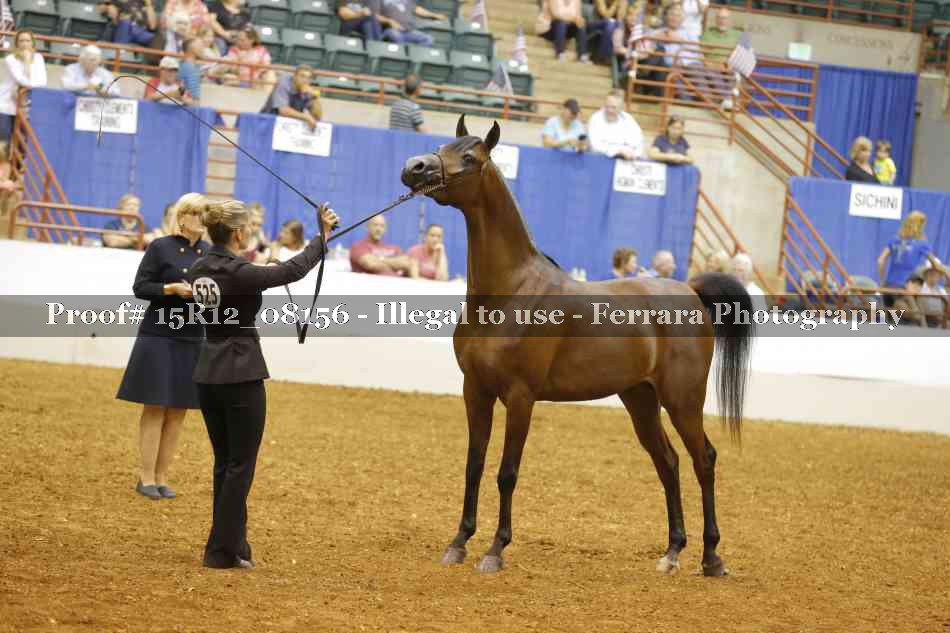 Proof Number 15R12_08156