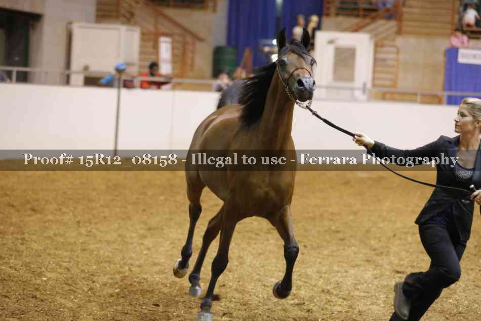 Proof Number 15R12_08158