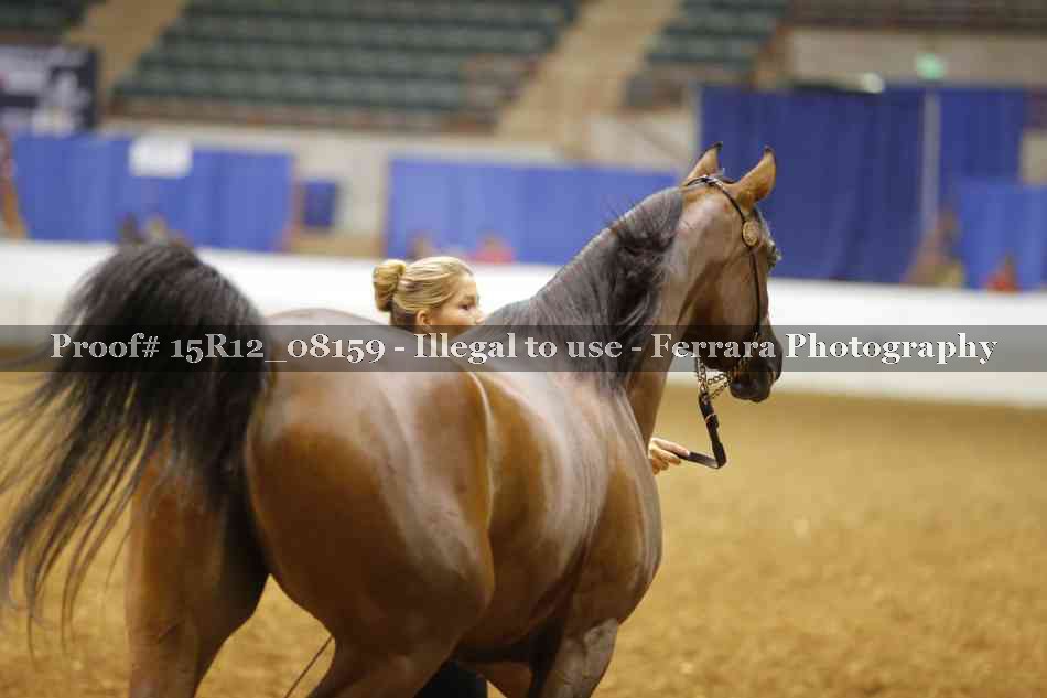 Proof Number 15R12_08159