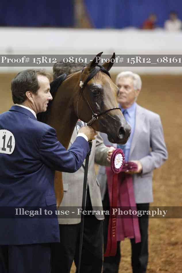 Proof Number 15R12_08161