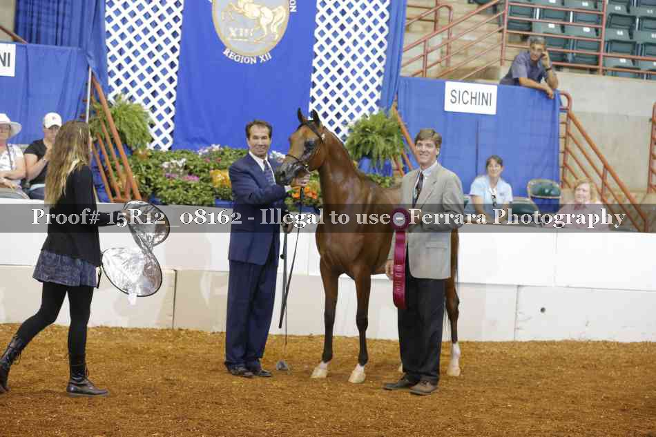 Proof Number 15R12_08162