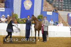 15R12_08163 thumbnail