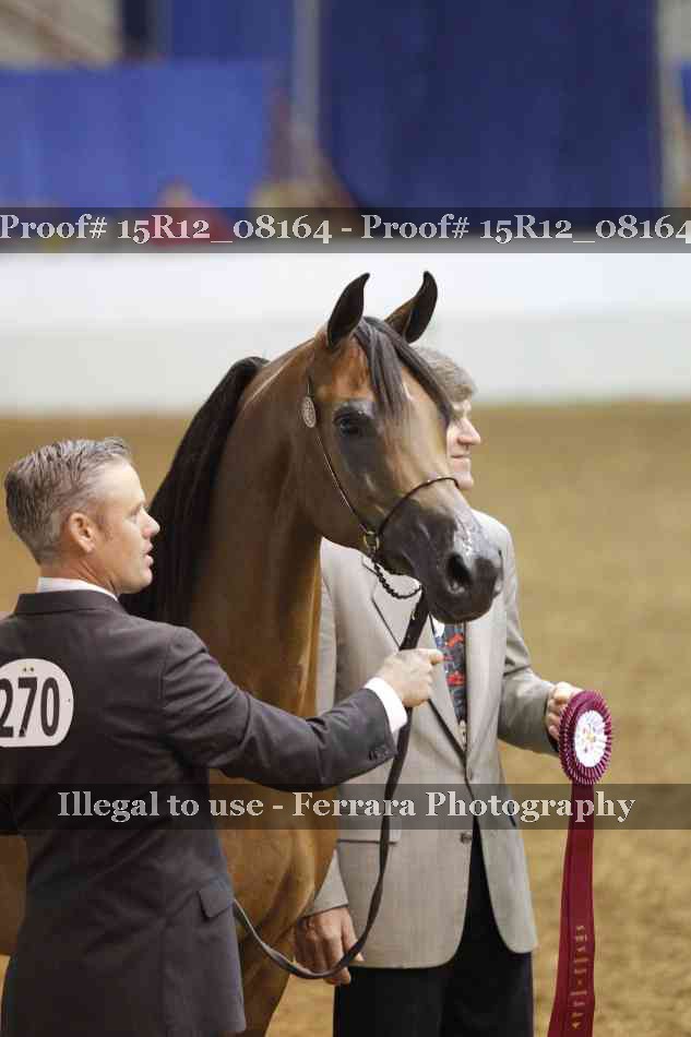 Proof Number 15R12_08164