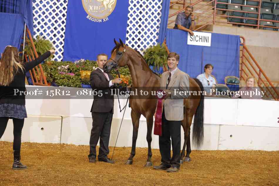 Proof Number 15R12_08165