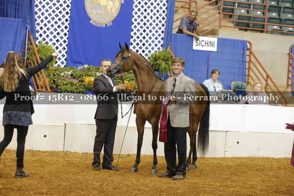 Proof Number 15R12_08166