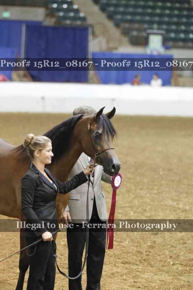 Proof Number 15R12_08167