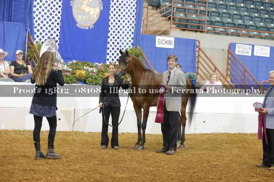 Proof Number 15R12_08168