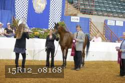 15R12_08168 thumbnail