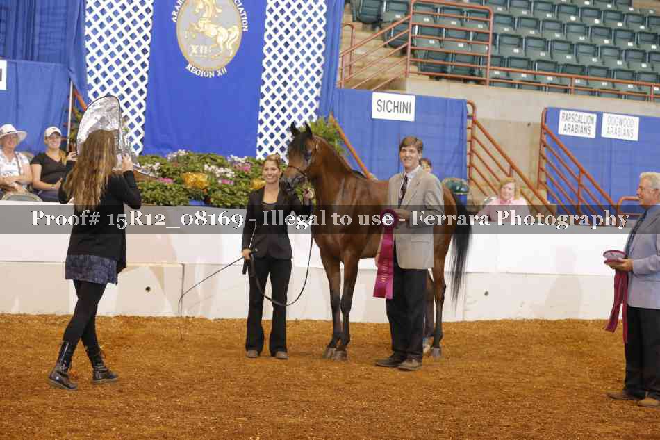 Proof Number 15R12_08169