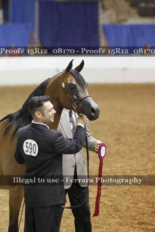 Proof Number 15R12_08170