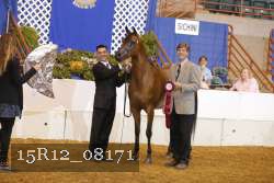 15R12_08171 thumbnail