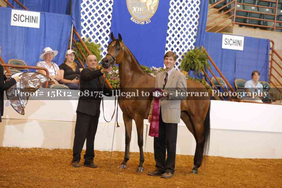Proof Number 15R12_08175