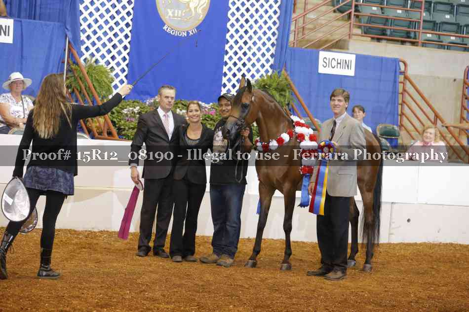 Proof Number 15R12_08190