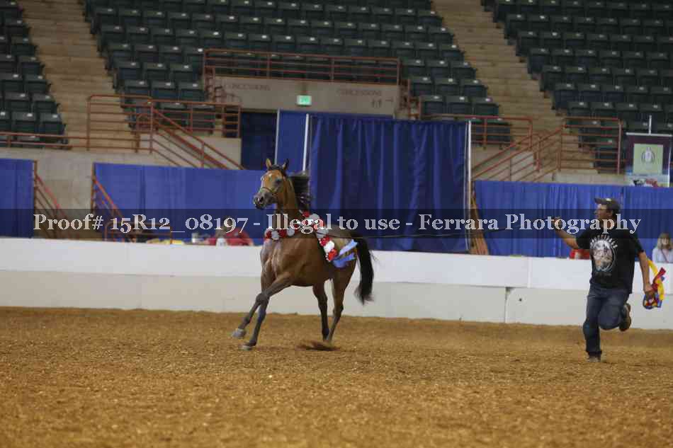 Proof Number 15R12_08197