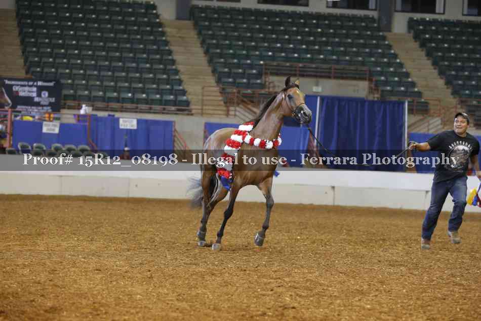 Proof Number 15R12_08198