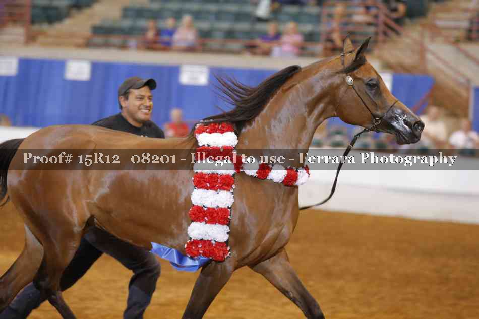 Proof Number 15R12_08201