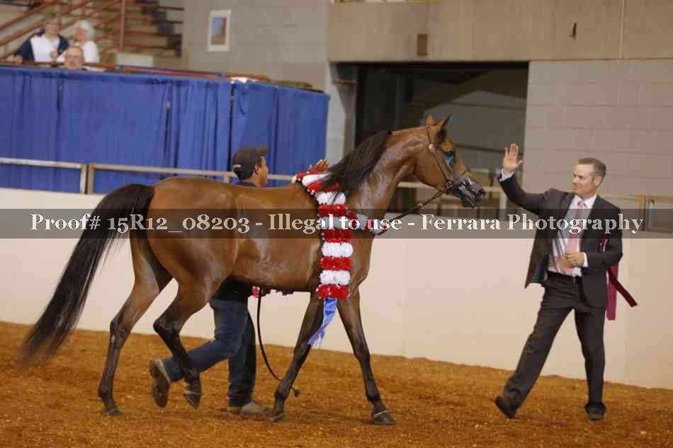 Proof Number 15R12_08203