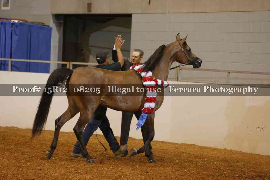 Proof Number 15R12_08205
