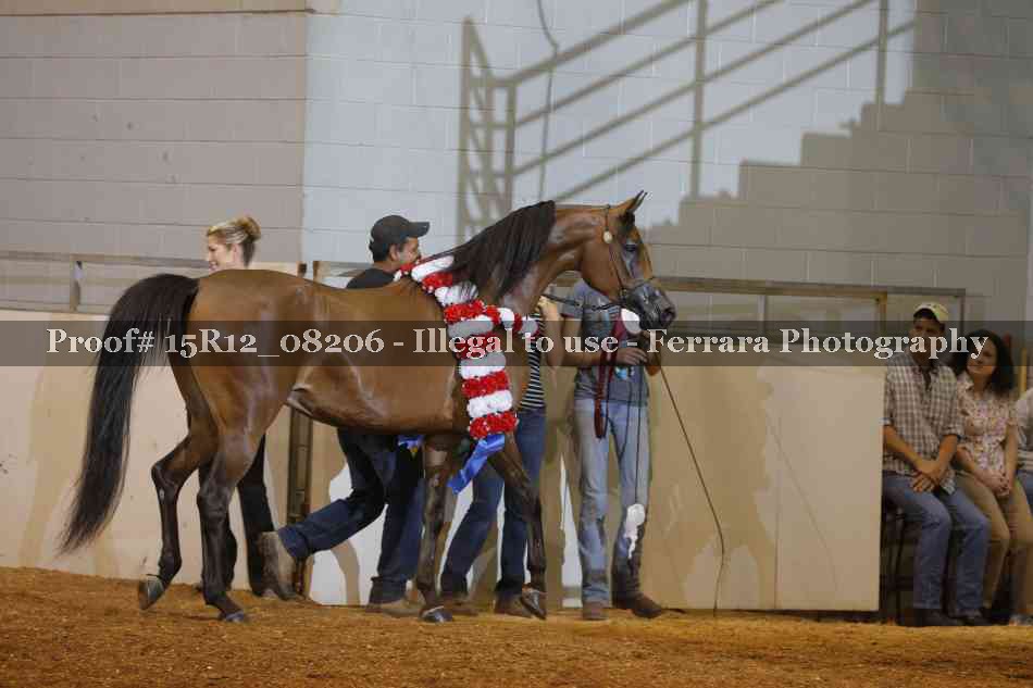 Proof Number 15R12_08206
