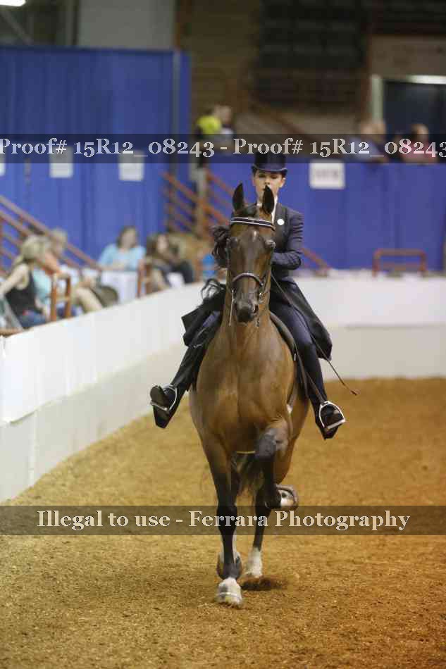 Proof Number 15R12_08243