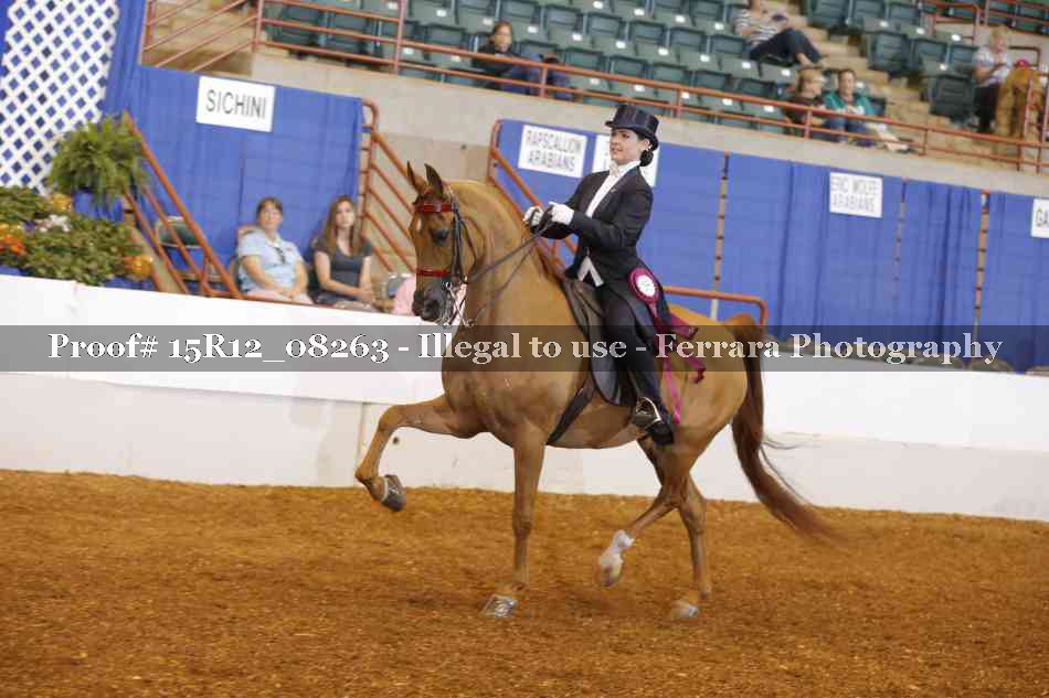 Proof Number 15R12_08263