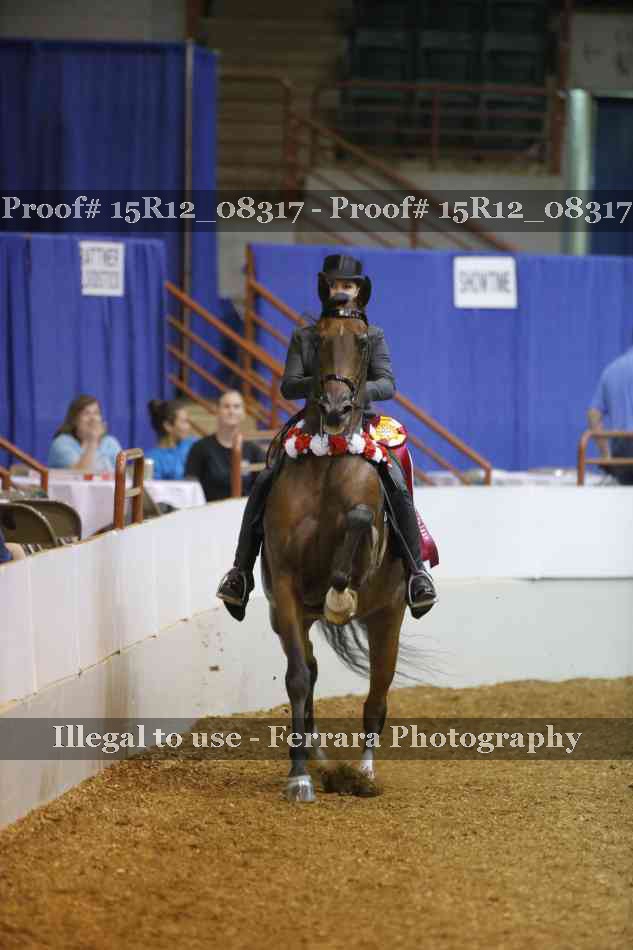 Proof Number 15R12_08317