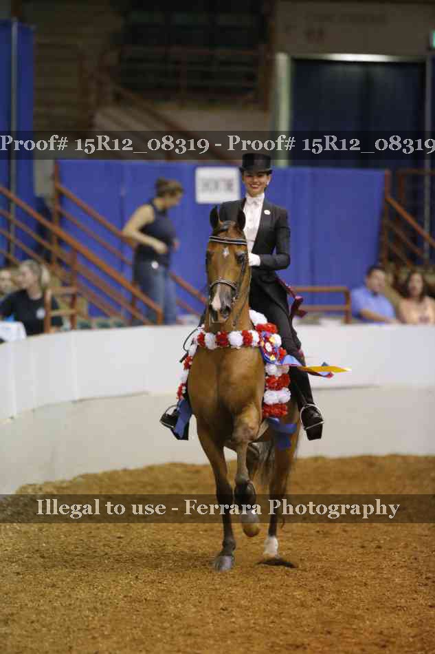 Proof Number 15R12_08319