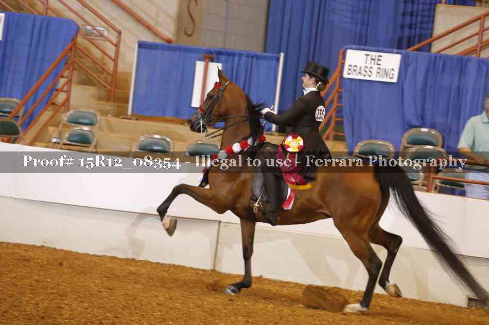 Proof Number 15R12_08354