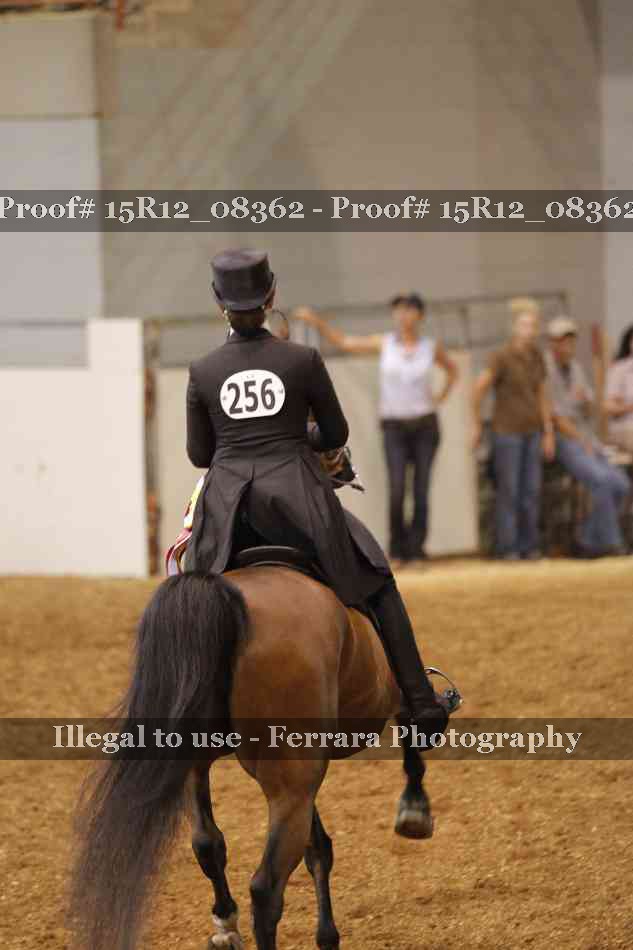 Proof Number 15R12_08362