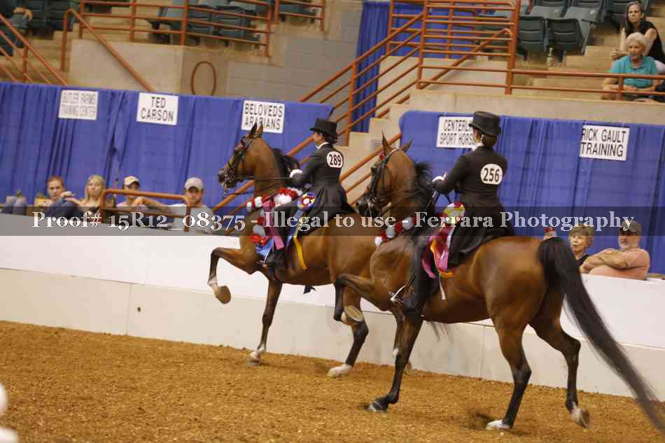 Proof Number 15R12_08375
