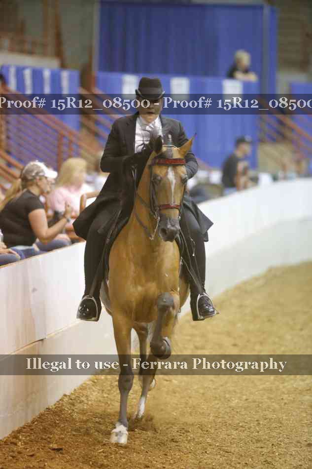 Proof Number 15R12_08500