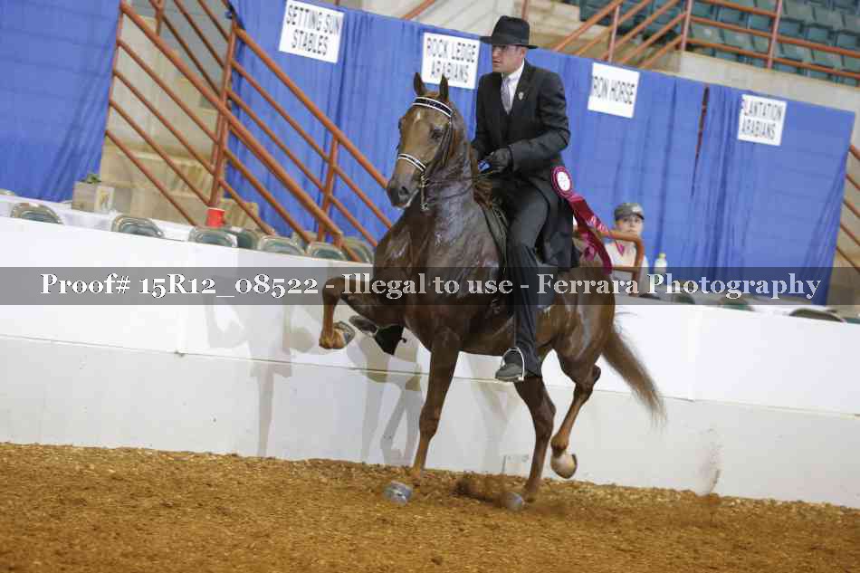 Proof Number 15R12_08522