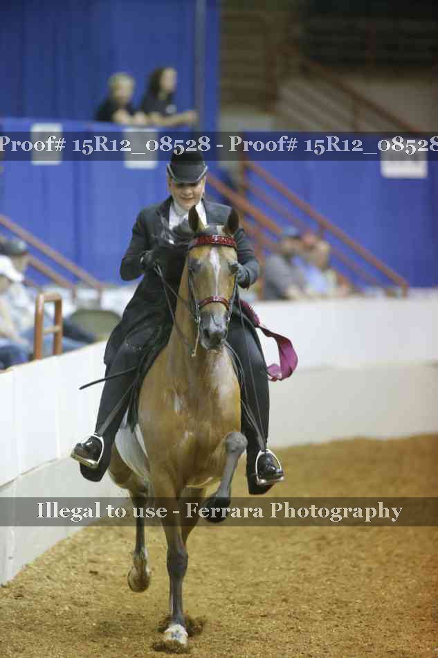 Proof Number 15R12_08528