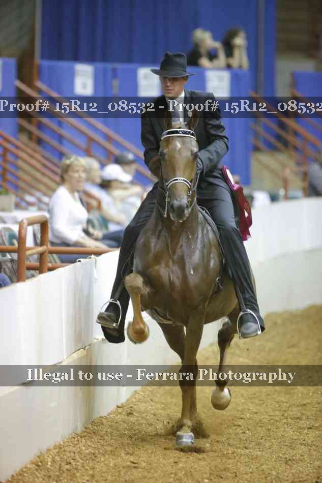 Proof Number 15R12_08532