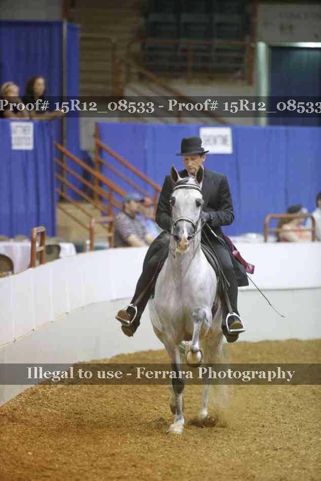 Proof Number 15R12_08533