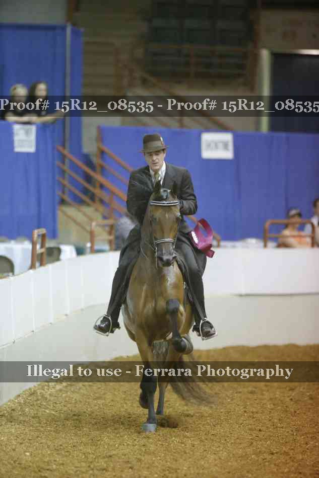 Proof Number 15R12_08535