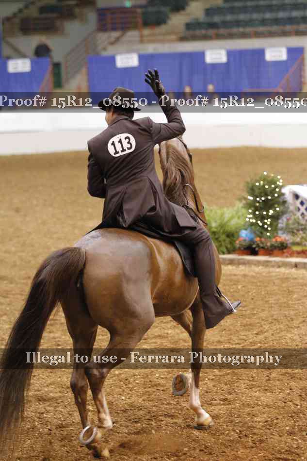 Proof Number 15R12_08550