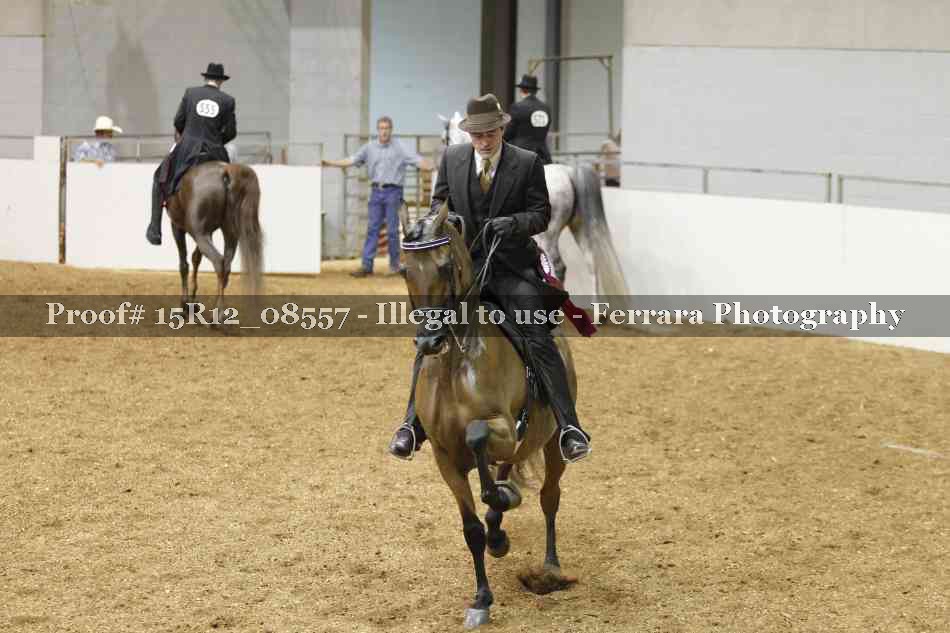 Proof Number 15R12_08557