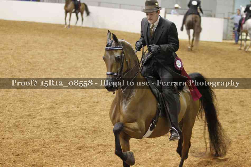 Proof Number 15R12_08558