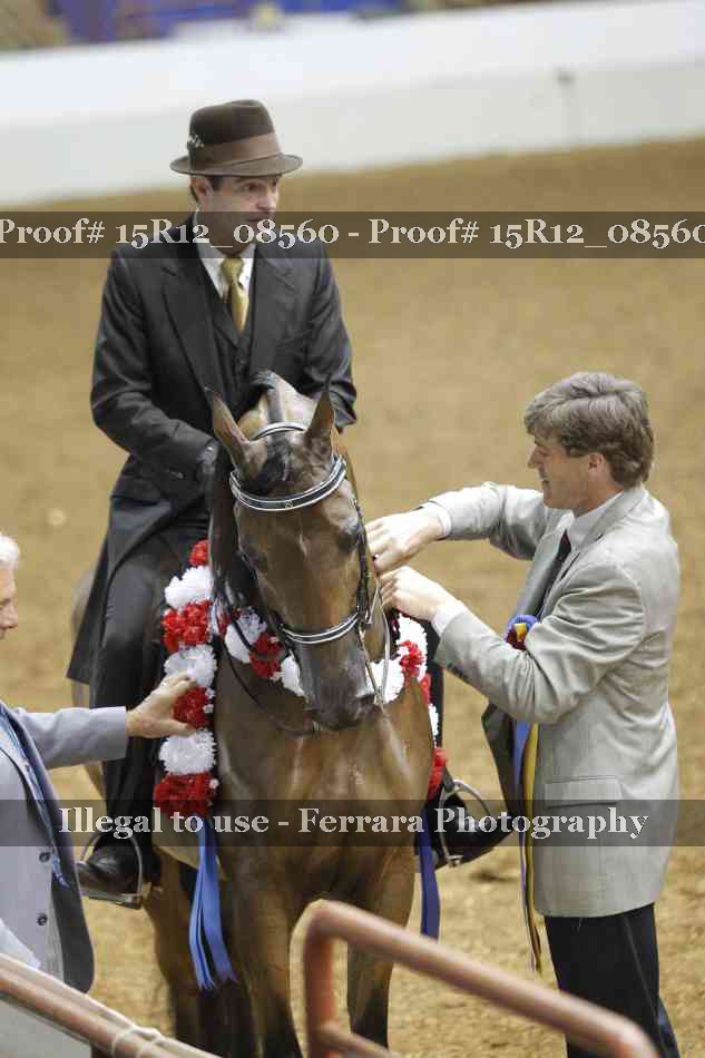 Proof Number 15R12_08560
