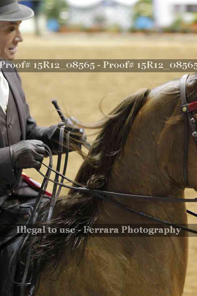 Proof Number 15R12_08565