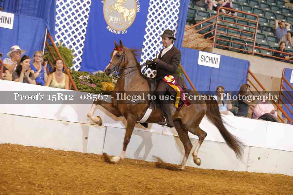 Proof Number 15R12_08567
