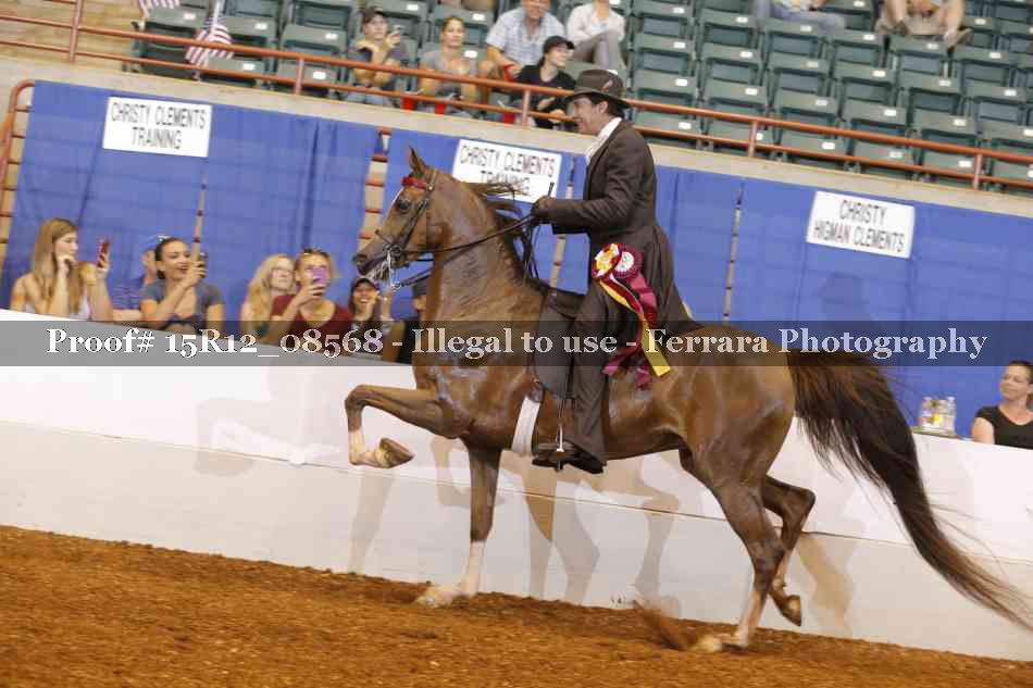Proof Number 15R12_08568