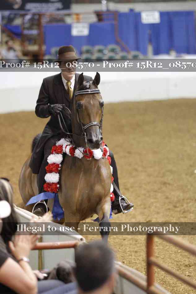 Proof Number 15R12_08570